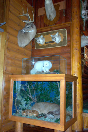 Pines Theatre - Display (newer photo)